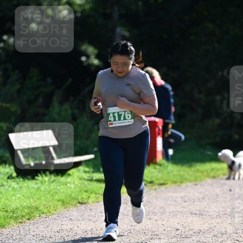 27.09.2026 - 35. Volkslauf durch das schöne Alstertal Dr. Thomas Lammeyer http://msf.ph/oto/10569632 27.09.2026 10:59:08 Laufen 4176 meine-sportfotos.de