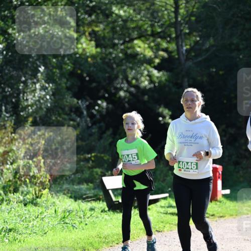 27.09.2026 - 35. Volkslauf durch das schöne Alstertal Dr. Thomas Lammeyer http://msf.ph/oto/10569663 27.09.2026 10:59:36 Laufen 4045, 4046 meine-sportfotos.de