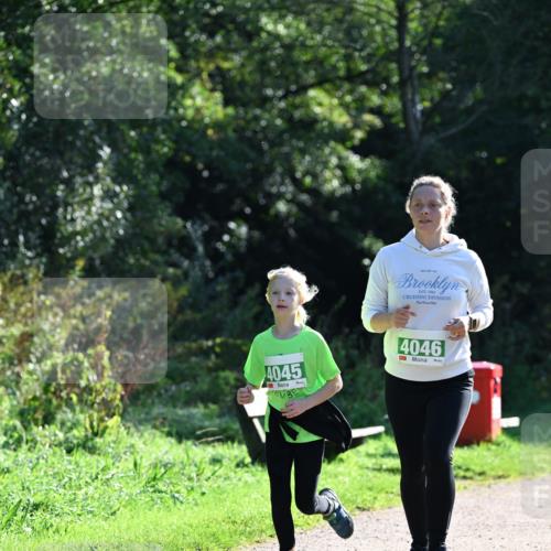 27.09.2026 - 35. Volkslauf durch das schöne Alstertal Dr. Thomas Lammeyer http://msf.ph/oto/10569664 27.09.2026 10:59:37 Laufen 4045, 1982, 4046 meine-sportfotos.de