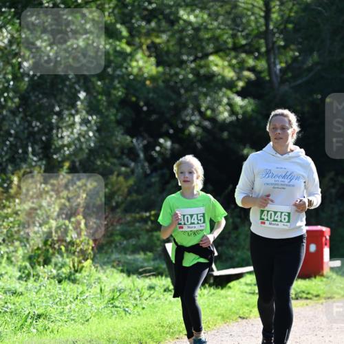 27.09.2026 - 35. Volkslauf durch das schöne Alstertal Dr. Thomas Lammeyer http://msf.ph/oto/10569665 27.09.2026 10:59:37 Laufen 0, 4045, 4046 meine-sportfotos.de