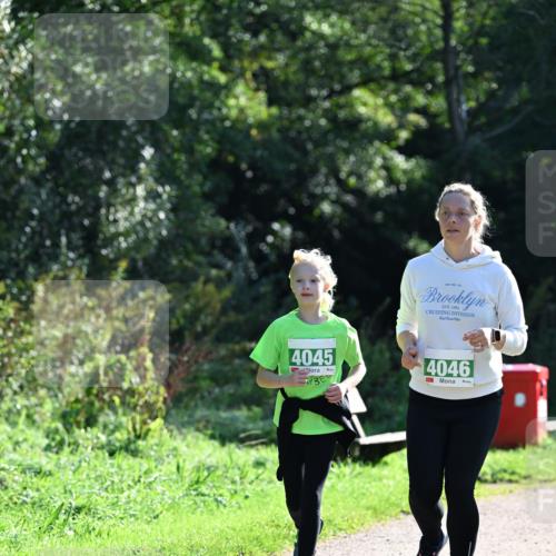 27.09.2026 - 35. Volkslauf durch das schöne Alstertal Dr. Thomas Lammeyer http://msf.ph/oto/10569666 27.09.2026 10:59:37 Laufen 1983, 4045, 4046 meine-sportfotos.de