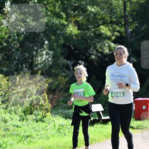 27.09.2026 - 35. Volkslauf durch das schöne Alstertal Dr. Thomas Lammeyer http://msf.ph/oto/10569668 27.09.2026 10:59:37 Laufen 45, 4046 meine-sportfotos.de