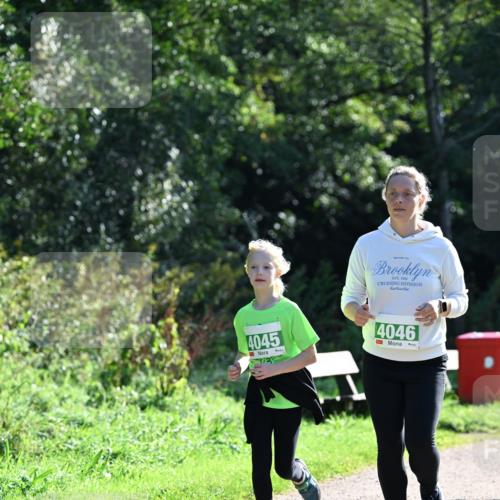 27.09.2026 - 35. Volkslauf durch das schöne Alstertal Dr. Thomas Lammeyer http://msf.ph/oto/10569669 27.09.2026 10:59:37 Laufen 4045, 4046 meine-sportfotos.de