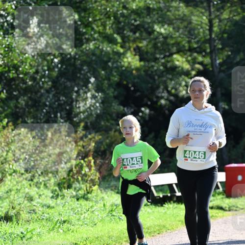 27.09.2026 - 35. Volkslauf durch das schöne Alstertal Dr. Thomas Lammeyer http://msf.ph/oto/10569670 27.09.2026 10:59:37 Laufen 1982, 4045, 4046 meine-sportfotos.de