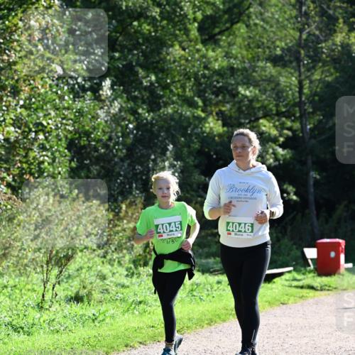 27.09.2026 - 35. Volkslauf durch das schöne Alstertal Dr. Thomas Lammeyer http://msf.ph/oto/10569676 27.09.2026 10:59:38 Laufen 4045, 4046 meine-sportfotos.de