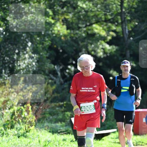 27.09.2026 - 35. Volkslauf durch das schöne Alstertal Dr. Thomas Lammeyer http://msf.ph/oto/10569692 27.09.2026 11:00:01 Laufen 2006, 4008 meine-sportfotos.de