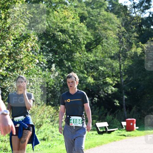 27.09.2026 - 35. Volkslauf durch das schöne Alstertal Dr. Thomas Lammeyer http://msf.ph/oto/10569725 27.09.2026 11:00:11 Laufen 4184 meine-sportfotos.de