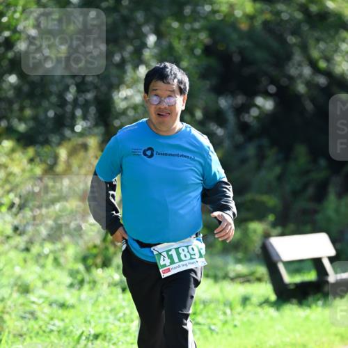 27.09.2026 - 35. Volkslauf durch das schöne Alstertal Dr. Thomas Lammeyer http://msf.ph/oto/10569742 27.09.2026 11:02:15 Laufen 4189 meine-sportfotos.de