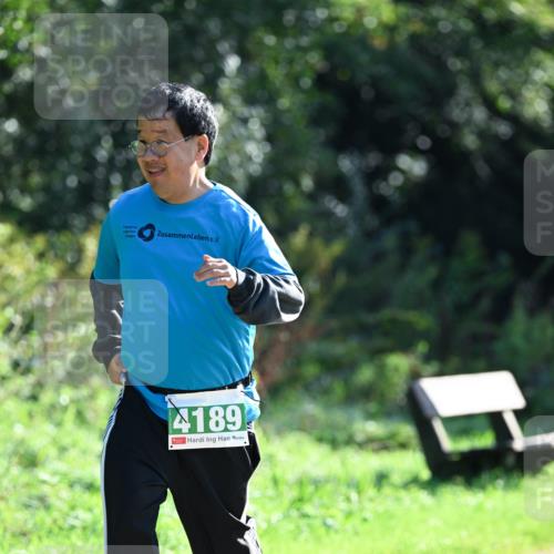 27.09.2026 - 35. Volkslauf durch das schöne Alstertal Dr. Thomas Lammeyer http://msf.ph/oto/10569744 27.09.2026 11:02:15 Laufen 4189 meine-sportfotos.de