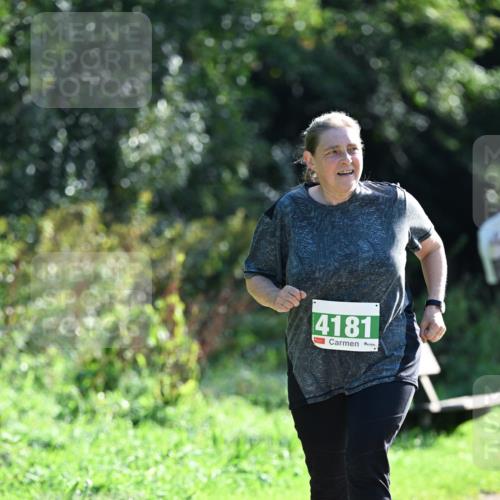 27.09.2026 - 35. Volkslauf durch das schöne Alstertal Dr. Thomas Lammeyer http://msf.ph/oto/10569750 27.09.2026 11:02:21 Laufen 4181 meine-sportfotos.de