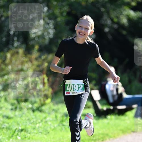 27.09.2026 - 35. Volkslauf durch das schöne Alstertal Dr. Thomas Lammeyer http://msf.ph/oto/10569765 27.09.2026 11:03:02 Laufen 4092 meine-sportfotos.de