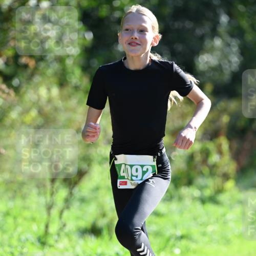 27.09.2026 - 35. Volkslauf durch das schöne Alstertal Dr. Thomas Lammeyer http://msf.ph/oto/10569769 27.09.2026 11:03:03 Laufen 4092 meine-sportfotos.de