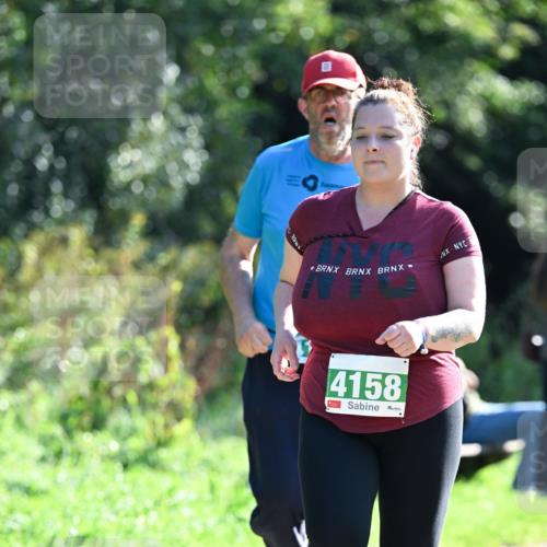 27.09.2026 - 35. Volkslauf durch das schöne Alstertal Dr. Thomas Lammeyer http://msf.ph/oto/10569784 27.09.2026 11:03:14 Laufen 4158 meine-sportfotos.de