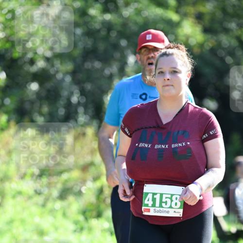 27.09.2026 - 35. Volkslauf durch das schöne Alstertal Dr. Thomas Lammeyer http://msf.ph/oto/10569790 27.09.2026 11:03:15 Laufen 4158 meine-sportfotos.de