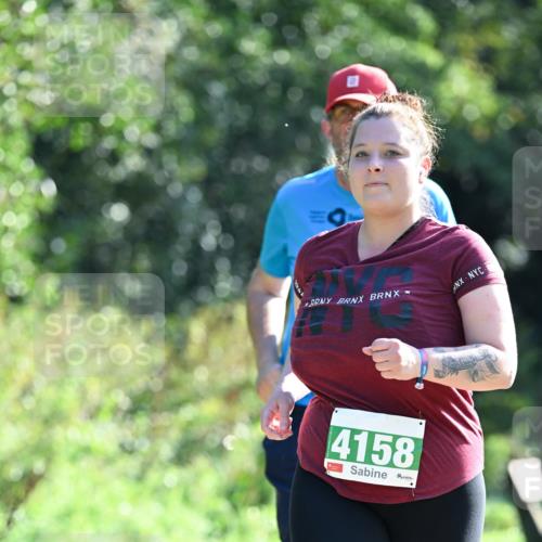 27.09.2026 - 35. Volkslauf durch das schöne Alstertal Dr. Thomas Lammeyer http://msf.ph/oto/10569791 27.09.2026 11:03:15 Laufen 4158 meine-sportfotos.de