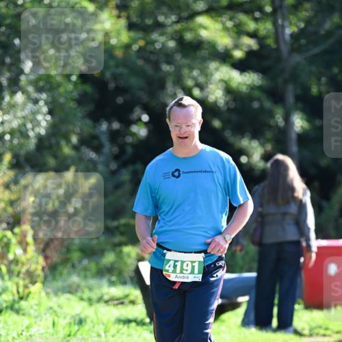 27.09.2026 - 35. Volkslauf durch das schöne Alstertal Dr. Thomas Lammeyer http://msf.ph/oto/10569806 27.09.2026 11:03:40 Laufen 4191 meine-sportfotos.de