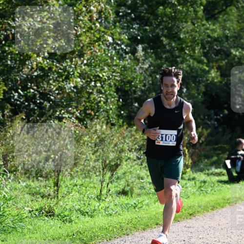 27.09.2026 - 35. Volkslauf durch das schöne Alstertal Dr. Thomas Lammeyer http://msf.ph/oto/10569868 27.09.2026 11:05:33 Laufen 3100 meine-sportfotos.de