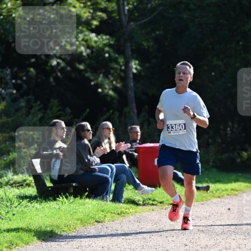 27.09.2026 - 35. Volkslauf durch das schöne Alstertal Dr. Thomas Lammeyer http://msf.ph/oto/10569895 27.09.2026 11:05:59 Laufen 3360 meine-sportfotos.de