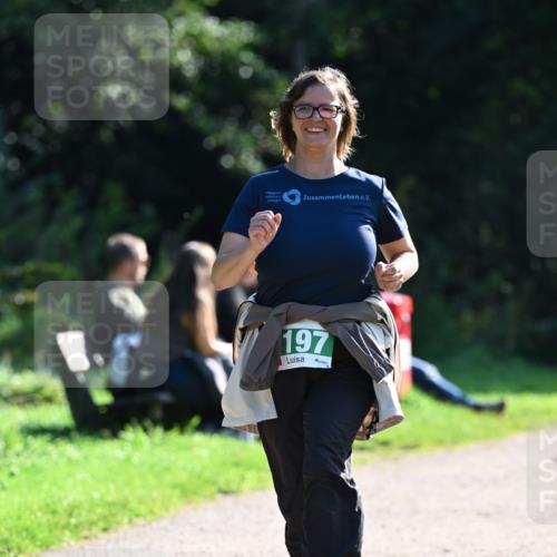 27.09.2026 - 35. Volkslauf durch das schöne Alstertal Dr. Thomas Lammeyer http://msf.ph/oto/10569933 27.09.2026 11:06:58 Laufen 197 meine-sportfotos.de
