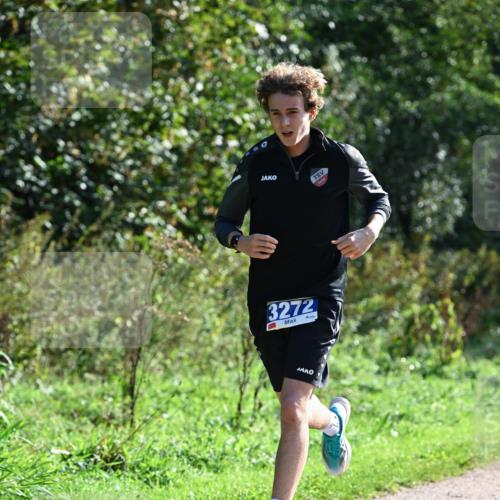 27.09.2026 - 35. Volkslauf durch das schöne Alstertal Dr. Thomas Lammeyer http://msf.ph/oto/10569964 27.09.2026 11:07:21 Laufen 3272 meine-sportfotos.de