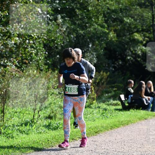 27.09.2026 - 35. Volkslauf durch das schöne Alstertal Dr. Thomas Lammeyer http://msf.ph/oto/10569973 27.09.2026 11:07:27 Laufen 4188 meine-sportfotos.de