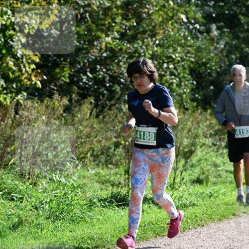 27.09.2026 - 35. Volkslauf durch das schöne Alstertal Dr. Thomas Lammeyer http://msf.ph/oto/10569978 27.09.2026 11:07:28 Laufen 4188, 4193 meine-sportfotos.de