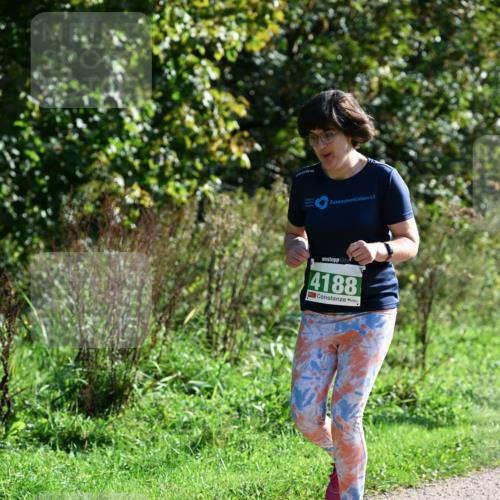 27.09.2026 - 35. Volkslauf durch das schöne Alstertal Dr. Thomas Lammeyer http://msf.ph/oto/10569981 27.09.2026 11:07:28 Laufen 4188 meine-sportfotos.de