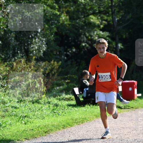 27.09.2026 - 35. Volkslauf durch das schöne Alstertal Dr. Thomas Lammeyer http://msf.ph/oto/10569986 27.09.2026 11:07:51 Laufen 3308 meine-sportfotos.de