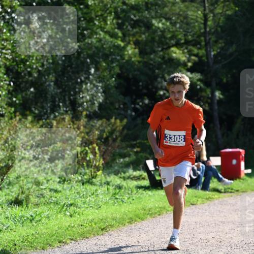 27.09.2026 - 35. Volkslauf durch das schöne Alstertal Dr. Thomas Lammeyer http://msf.ph/oto/10569988 27.09.2026 11:07:51 Laufen 3308 meine-sportfotos.de