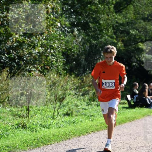 27.09.2026 - 35. Volkslauf durch das schöne Alstertal Dr. Thomas Lammeyer http://msf.ph/oto/10569993 27.09.2026 11:07:52 Laufen 3308 meine-sportfotos.de