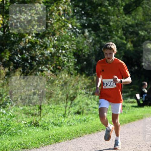 27.09.2026 - 35. Volkslauf durch das schöne Alstertal Dr. Thomas Lammeyer http://msf.ph/oto/10569994 27.09.2026 11:07:52 Laufen 3308 meine-sportfotos.de