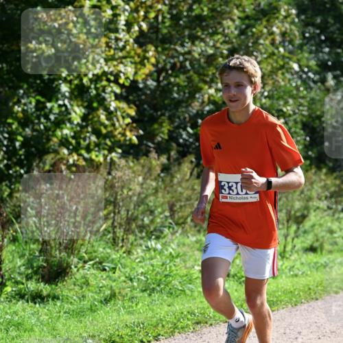 27.09.2026 - 35. Volkslauf durch das schöne Alstertal Dr. Thomas Lammeyer http://msf.ph/oto/10569999 27.09.2026 11:07:53 Laufen 330 meine-sportfotos.de
