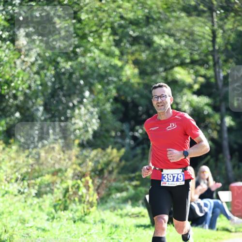 27.09.2026 - 35. Volkslauf durch das schöne Alstertal Dr. Thomas Lammeyer http://msf.ph/oto/10570014 27.09.2026 11:08:47 Laufen 3979 meine-sportfotos.de
