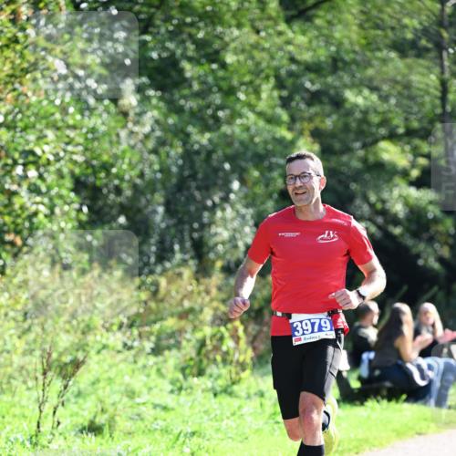 27.09.2026 - 35. Volkslauf durch das schöne Alstertal Dr. Thomas Lammeyer http://msf.ph/oto/10570017 27.09.2026 11:08:47 Laufen 3979 meine-sportfotos.de