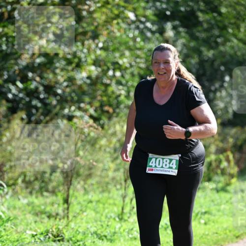 27.09.2026 - 35. Volkslauf durch das schöne Alstertal Dr. Thomas Lammeyer http://msf.ph/oto/10570048 27.09.2026 11:09:07 Laufen 4084 meine-sportfotos.de
