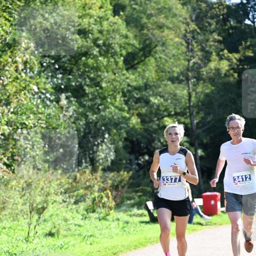 27.09.2026 - 35. Volkslauf durch das schöne Alstertal Dr. Thomas Lammeyer http://msf.ph/oto/10570055 27.09.2026 11:09:09 Laufen 3377, 3412 meine-sportfotos.de