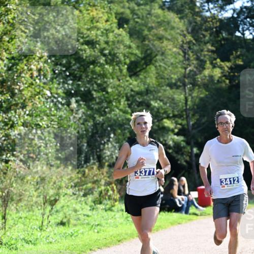 27.09.2026 - 35. Volkslauf durch das schöne Alstertal Dr. Thomas Lammeyer http://msf.ph/oto/10570058 27.09.2026 11:09:10 Laufen 3377, 3412 meine-sportfotos.de