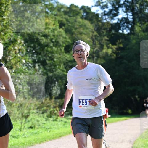 27.09.2026 - 35. Volkslauf durch das schöne Alstertal Dr. Thomas Lammeyer http://msf.ph/oto/10570064 27.09.2026 11:09:11 Laufen 3412 meine-sportfotos.de