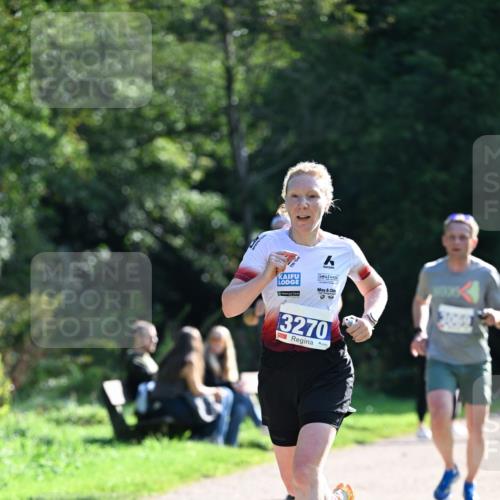 27.09.2026 - 35. Volkslauf durch das schöne Alstertal Dr. Thomas Lammeyer http://msf.ph/oto/10570115 27.09.2026 11:09:29 Laufen 3270 meine-sportfotos.de