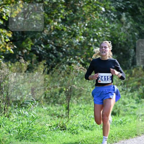 27.09.2026 - 35. Volkslauf durch das schöne Alstertal Dr. Thomas Lammeyer http://msf.ph/oto/10570167 27.09.2026 11:10:02 Laufen 2415 meine-sportfotos.de