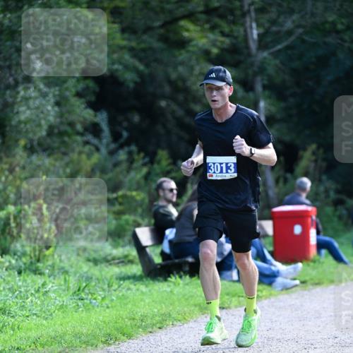 27.09.2026 - 35. Volkslauf durch das schöne Alstertal Dr. Thomas Lammeyer http://msf.ph/oto/10570171 27.09.2026 11:10:14 Laufen 3013 meine-sportfotos.de
