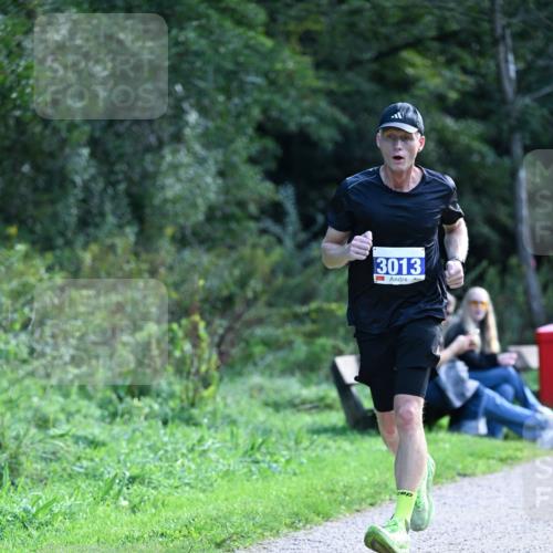 27.09.2026 - 35. Volkslauf durch das schöne Alstertal Dr. Thomas Lammeyer http://msf.ph/oto/10570174 27.09.2026 11:10:14 Laufen 3013 meine-sportfotos.de