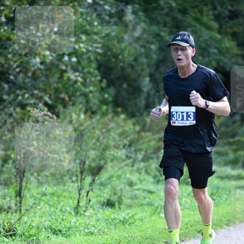 27.09.2026 - 35. Volkslauf durch das schöne Alstertal Dr. Thomas Lammeyer http://msf.ph/oto/10570181 27.09.2026 11:10:15 Laufen 3013 meine-sportfotos.de