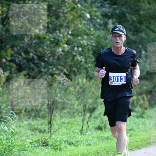27.09.2026 - 35. Volkslauf durch das schöne Alstertal Dr. Thomas Lammeyer http://msf.ph/oto/10570184 27.09.2026 11:10:16 Laufen 3013 meine-sportfotos.de