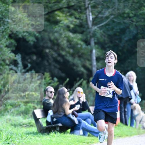 27.09.2026 - 35. Volkslauf durch das schöne Alstertal Dr. Thomas Lammeyer http://msf.ph/oto/10570237 27.09.2026 11:11:10 Laufen 85 meine-sportfotos.de