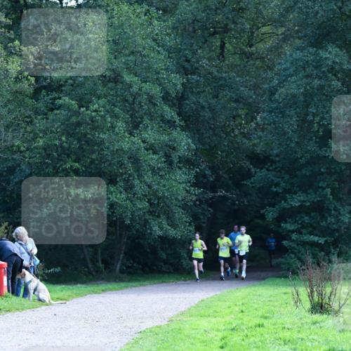 27.09.2026 - 35. Volkslauf durch das schöne Alstertal Dr. Thomas Lammeyer http://msf.ph/oto/10570265 27.09.2026 11:11:13 Laufen  meine-sportfotos.de