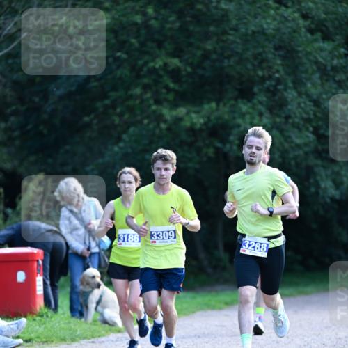 27.09.2026 - 35. Volkslauf durch das schöne Alstertal Dr. Thomas Lammeyer http://msf.ph/oto/10570267 27.09.2026 11:11:20 Laufen 3186, 3309, 3288 meine-sportfotos.de