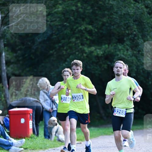 27.09.2026 - 35. Volkslauf durch das schöne Alstertal Dr. Thomas Lammeyer http://msf.ph/oto/10570268 27.09.2026 11:11:20 Laufen 3186, 3309, 13288 meine-sportfotos.de