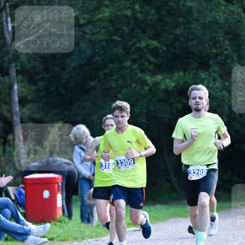 27.09.2026 - 35. Volkslauf durch das schöne Alstertal Dr. Thomas Lammeyer http://msf.ph/oto/10570269 27.09.2026 11:11:20 Laufen 318, 3309, 3288 meine-sportfotos.de