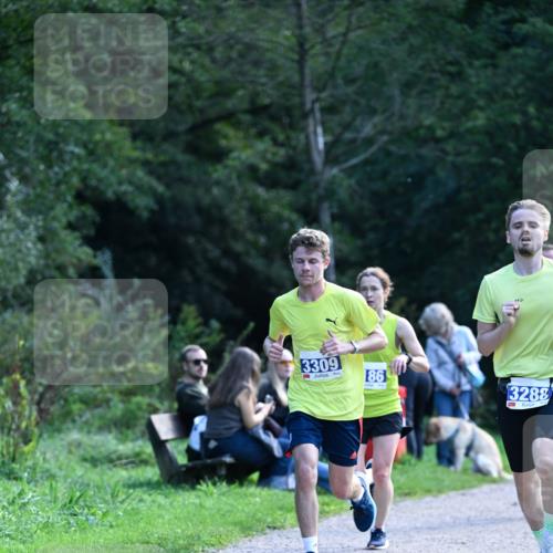 27.09.2026 - 35. Volkslauf durch das schöne Alstertal Dr. Thomas Lammeyer http://msf.ph/oto/10570279 27.09.2026 11:11:22 Laufen 3309, 86, 3288 meine-sportfotos.de